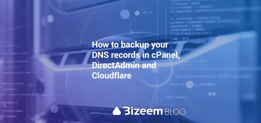 backup dns records in cpanel direct admin cloudflare