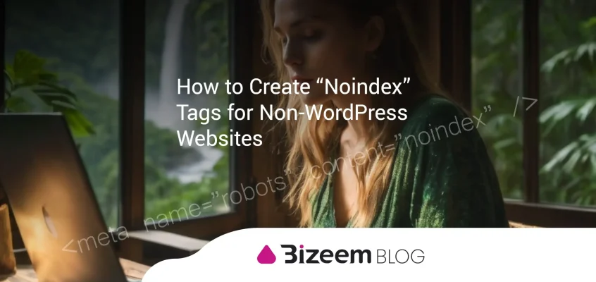 How to Create Noindex Tag for Non-Wordpress Websites