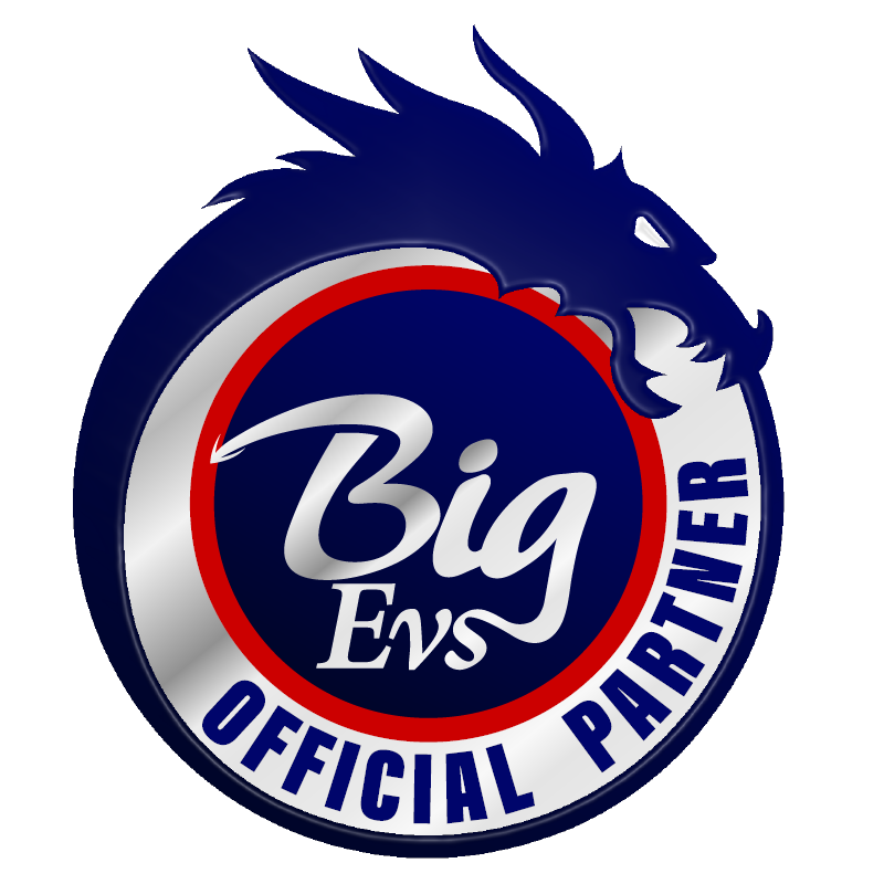 Bigevs Marketing Group